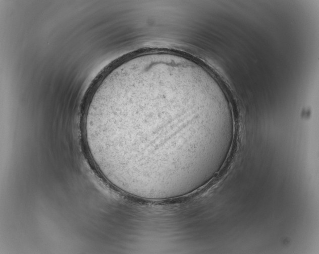 X0000112740976200909101512