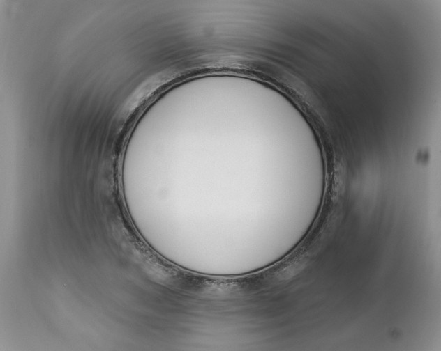 X0000112740978200909101512