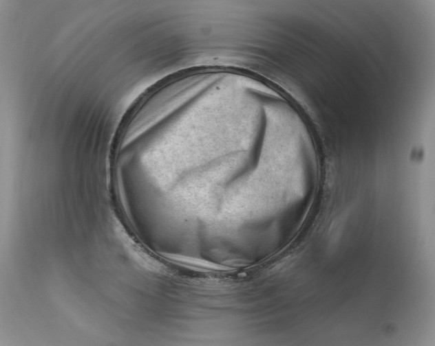 X0000112740980200909101511