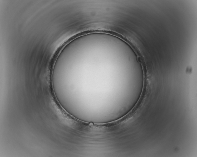 X0000112740981200909101511