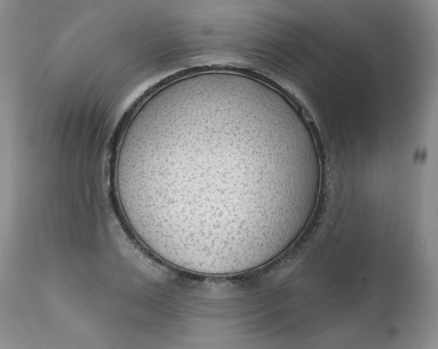 X0000112740983200909101511