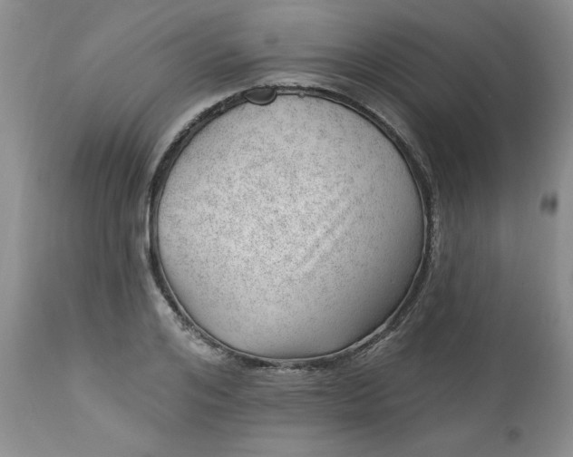 X0000112740984200909101511