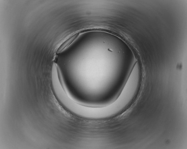 X0000112740985200909101511