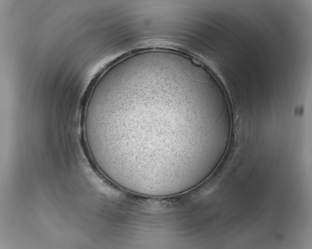 X0000112740987200909101511