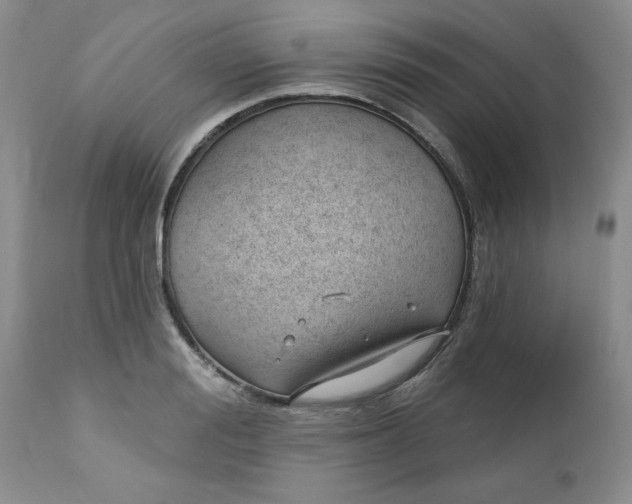 X0000112740988200909101511