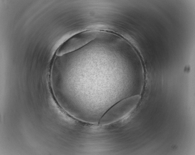 X0000112740989200909101511