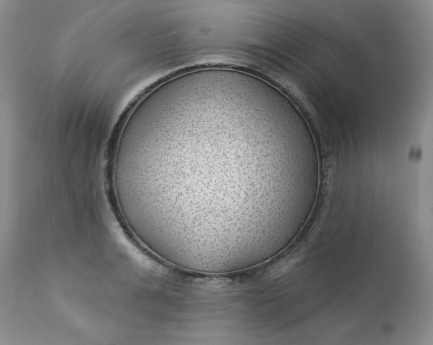 X0000112740991200909101511