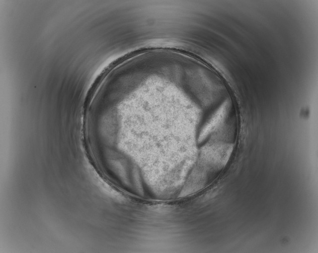 X0000112740992200909101511