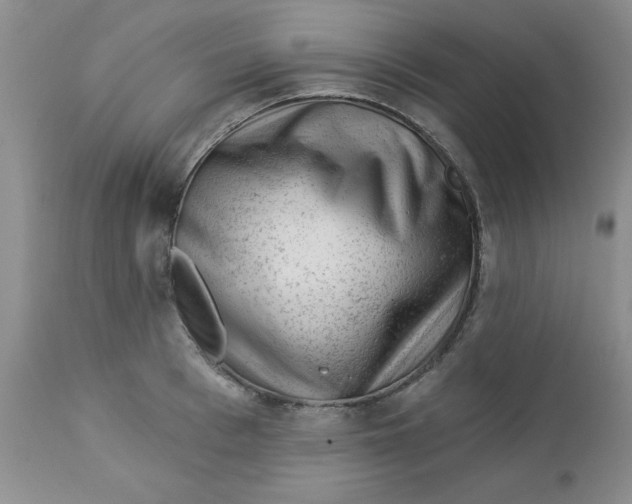 X0000112740993200909101511