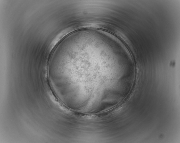 X0000112740994200909101511