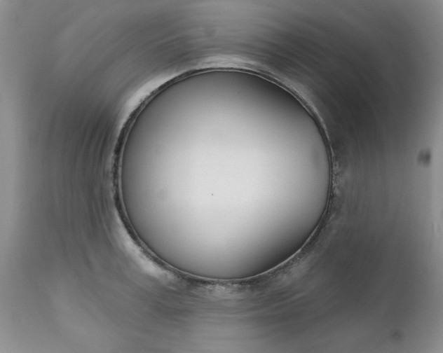 X0000112740995200909101511