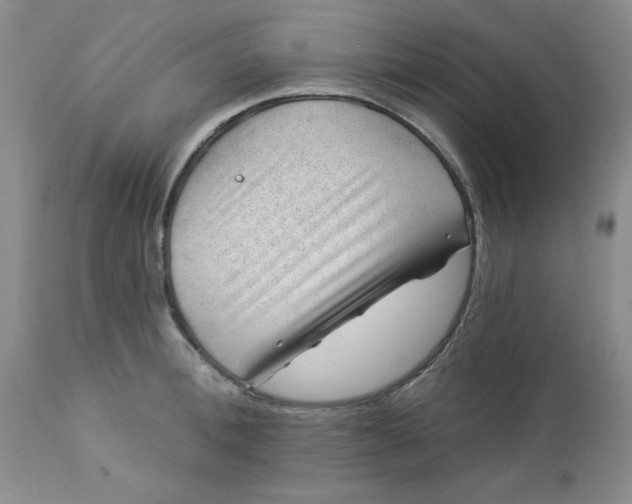 X0000112740996200909101511