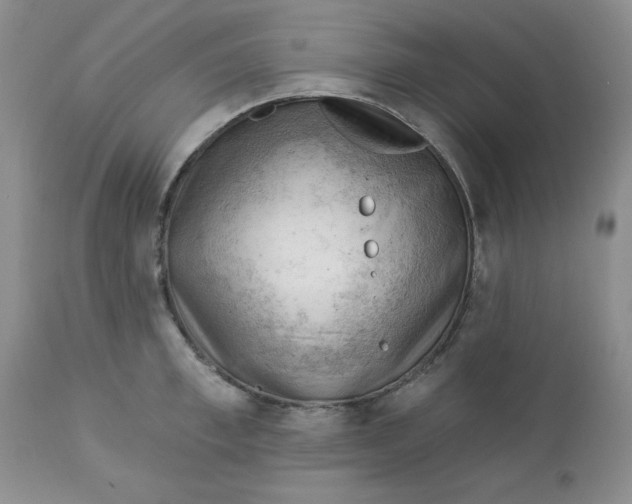 X0000112740997200909101511