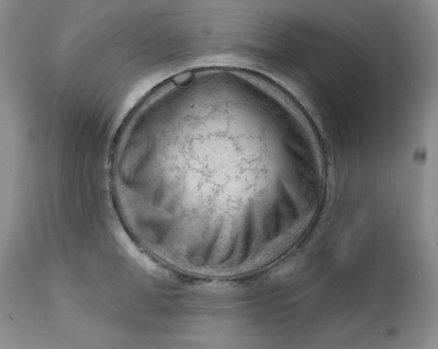 X0000112740998200909101511