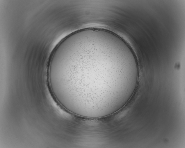 X0000112740999200909101511