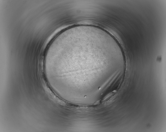 X0000112741000200909101511