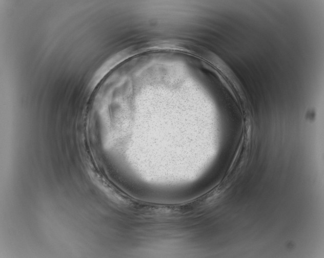 X0000112741002200909101511