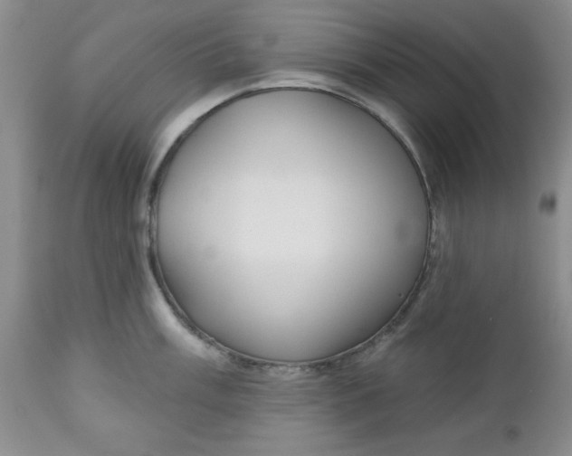 X0000112741003200909101511