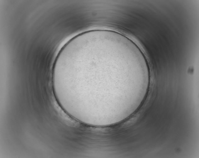 X0000112741004200909101511