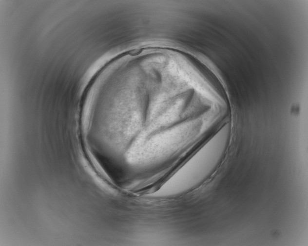 X0000112741005200909101511