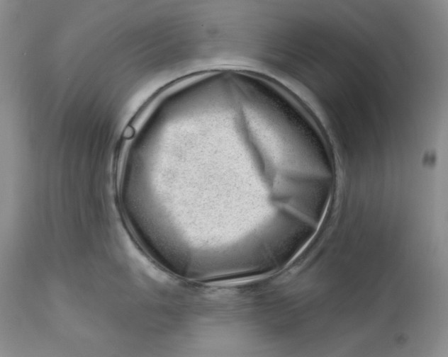 X0000112741006200909101511