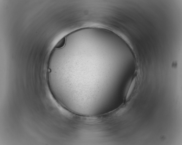 X0000112741007200909101511