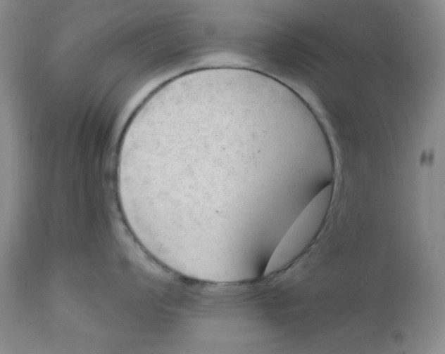 X0000112741008200909101511