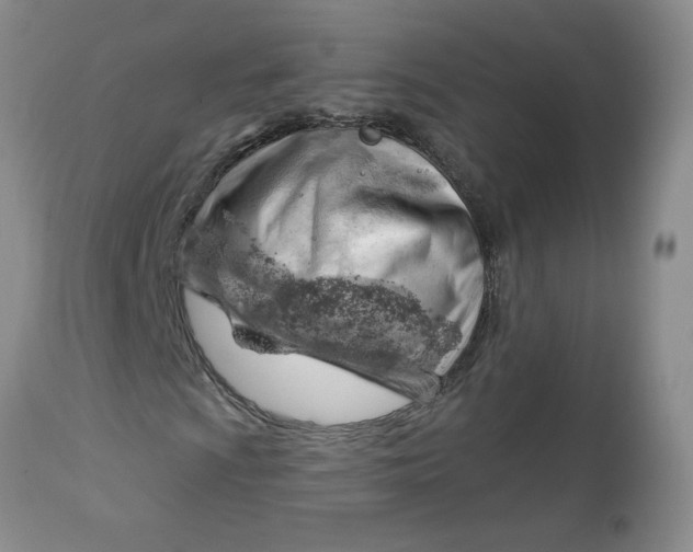 X0000112741009200909101510