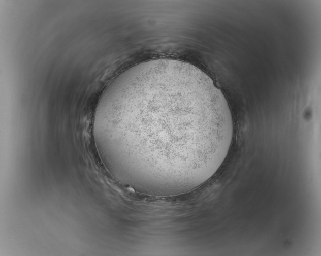 X0000112741010200909101510