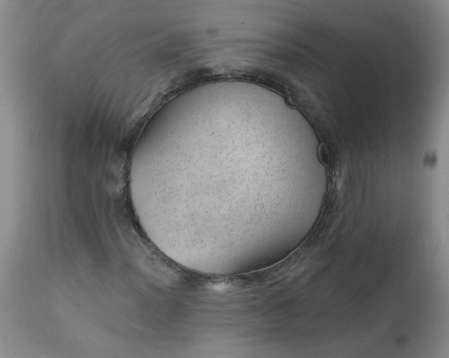 X0000112741012200909101510