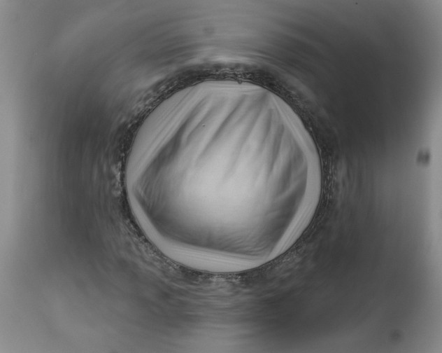 X0000112741013200909101510