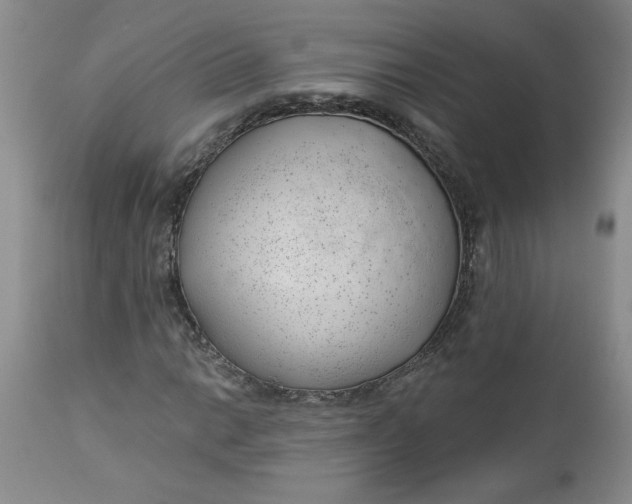 X0000112741014200909101510