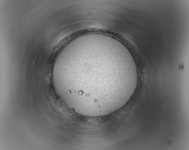 X0000112741015200909101510