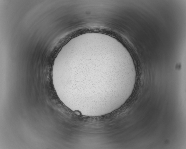 X0000112741016200909101510