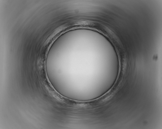 X0000112741017200909101510