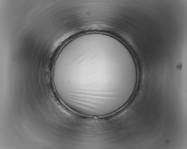 X0000112741018200909101510