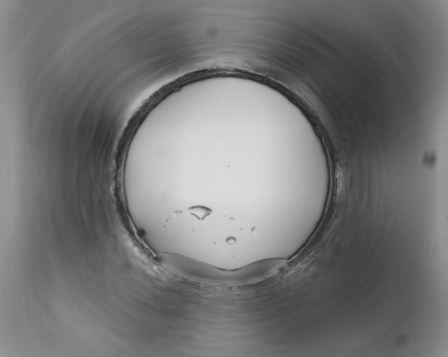 X0000112741020200909101510