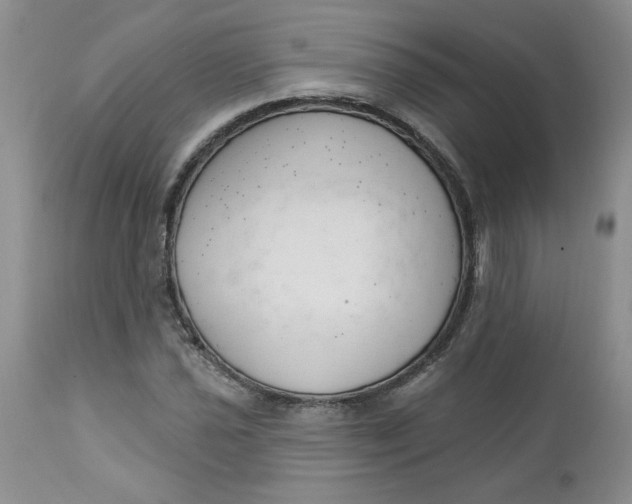 X0000112741021200909101510