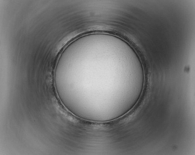 X0000112741025200909101510