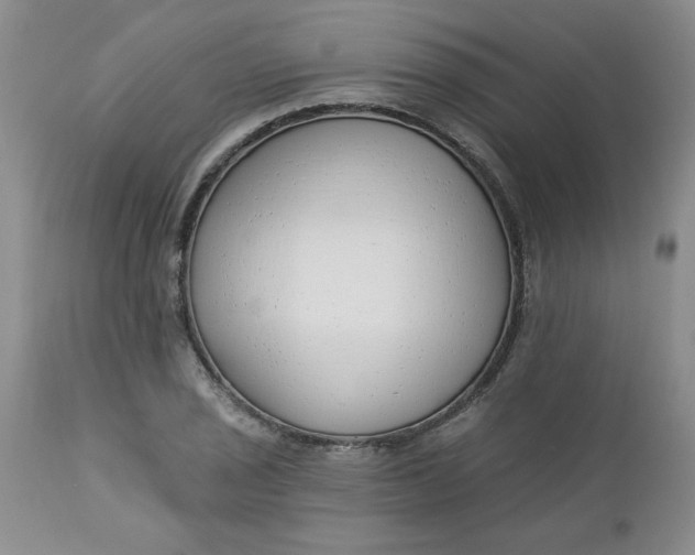 X0000112741029200909101510