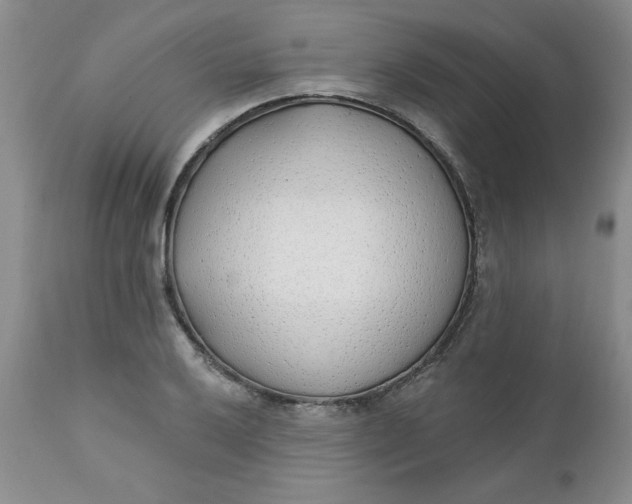 X0000112741032200909101510