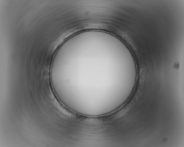 X0000112741033200909101510