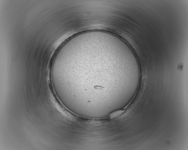 X0000112741034200909101510