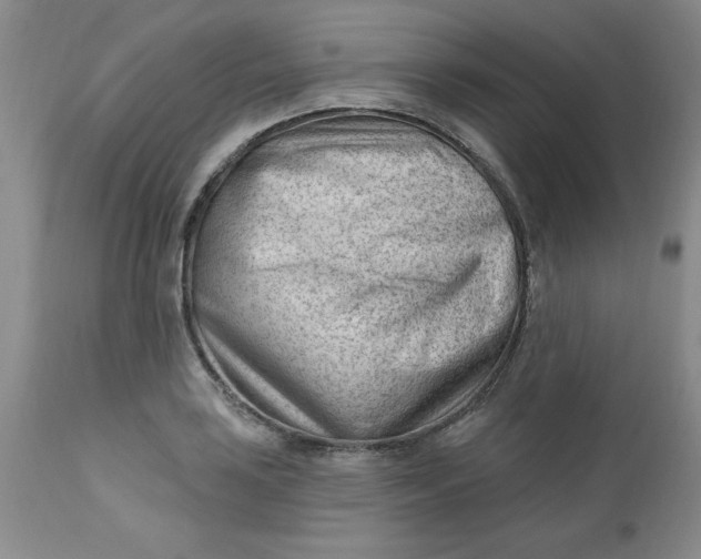 X0000112741035200909101510