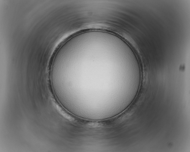 X0000112741037200909101510