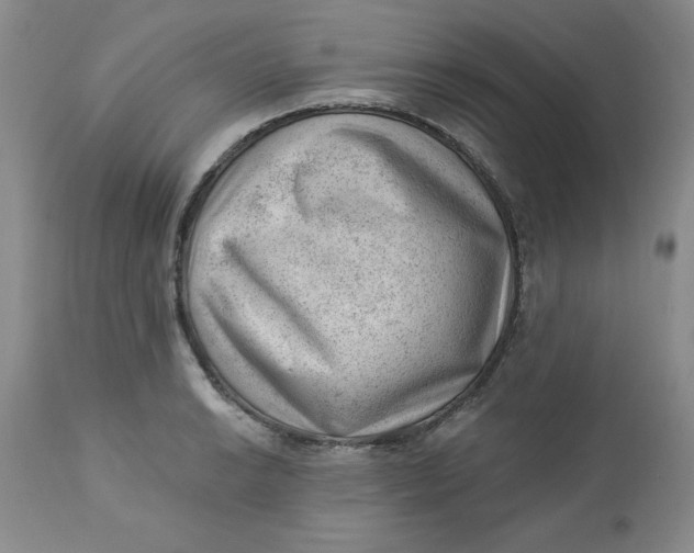 X0000112741038200909101510