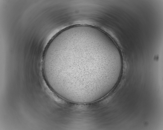 X0000112741040200909101511