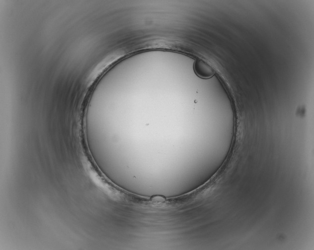 X0000112741042200909101511