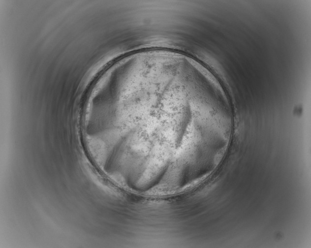 X0000112741043200909101511