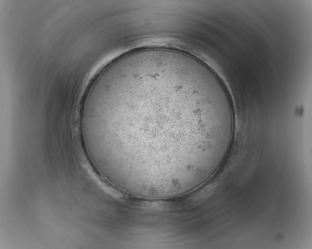 X0000112741045200909101511